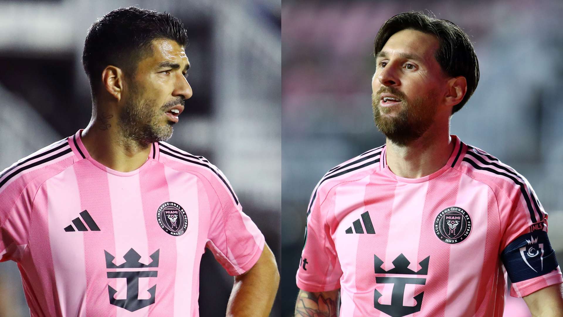 神無疑為全 神無疑為全